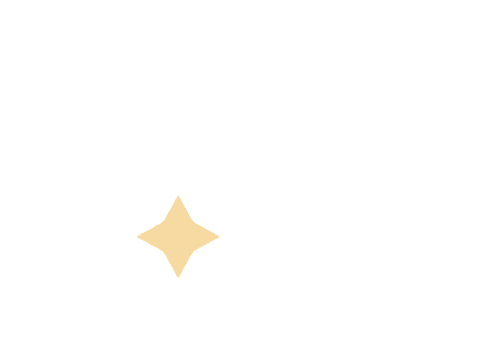 LionRun